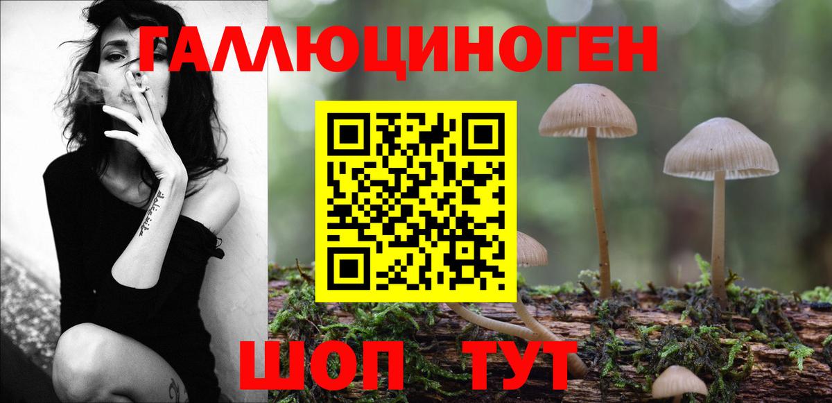 Галлюциногенные грибы GOLDEN TEACHER  Псилоцибиновые грибы GOLDEN TEACHER  Вход с VPN  Шелехов 